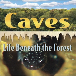 DVD - Caves: Life Beneath the Forest