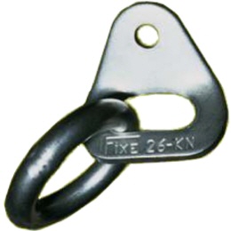 Fixe Hanger Lasche mit Ring Inox M8